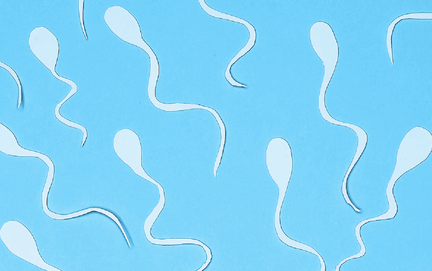 Men's Reproductive Health & Male Factor Fertility - Spring Fertility