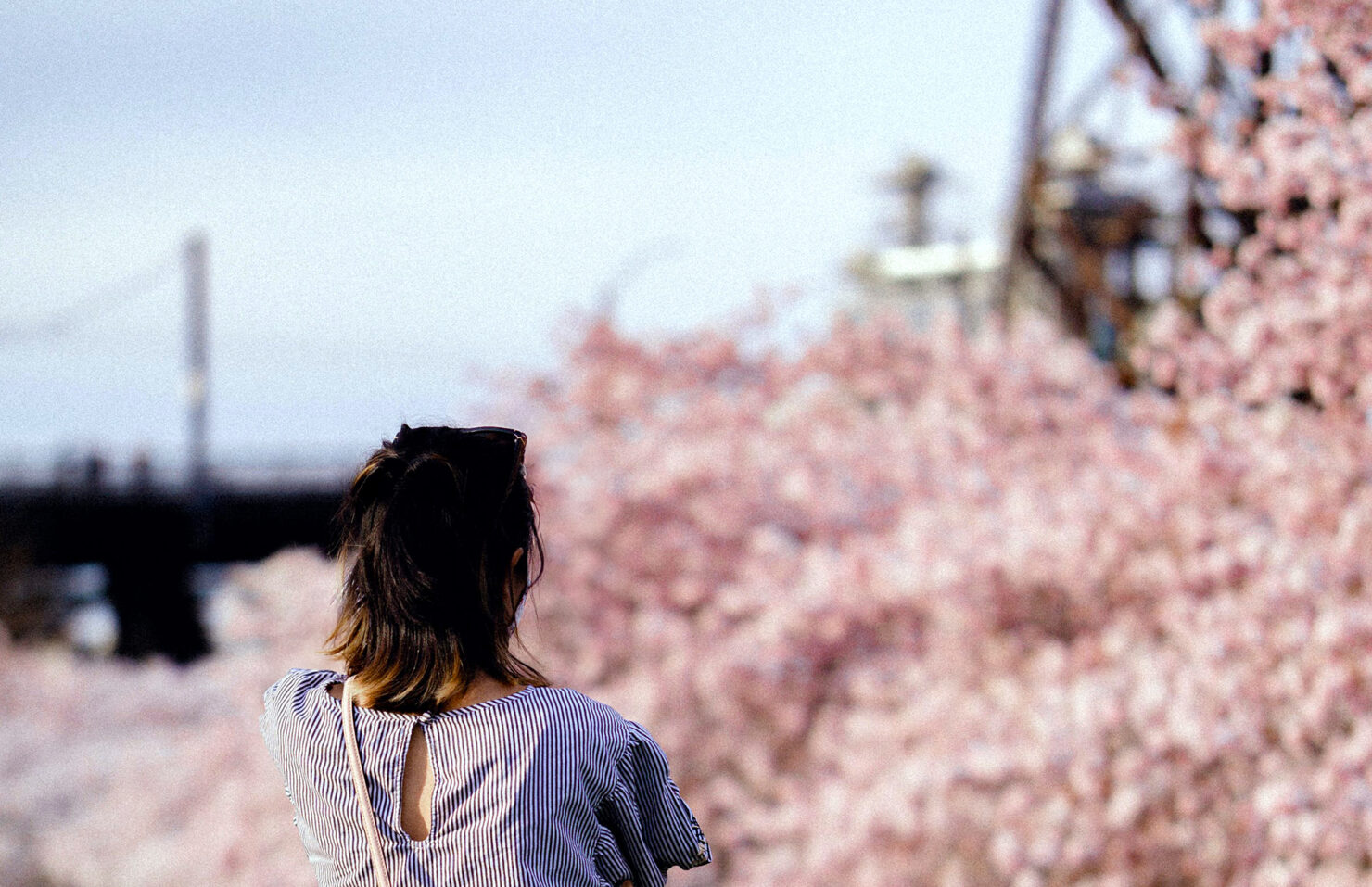 Image - Spring_NowinPDX-1480x957.jpg