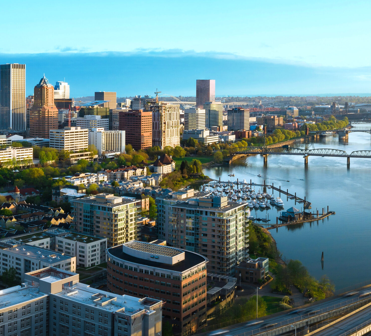 Image - Spring_PDX_LPHeader_021624-1480x1342.jpg