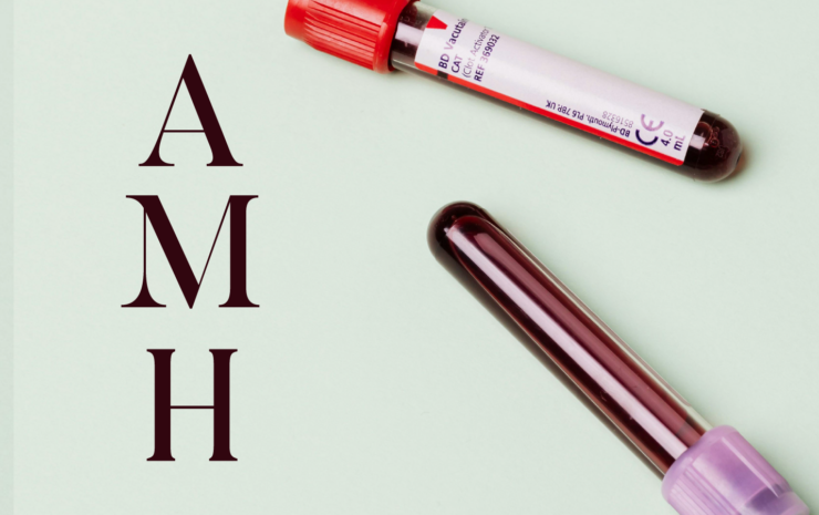 Your AMH Test Explained