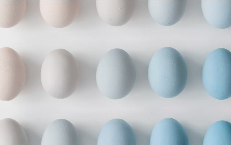 Webinar: Egg Freezing Info Session