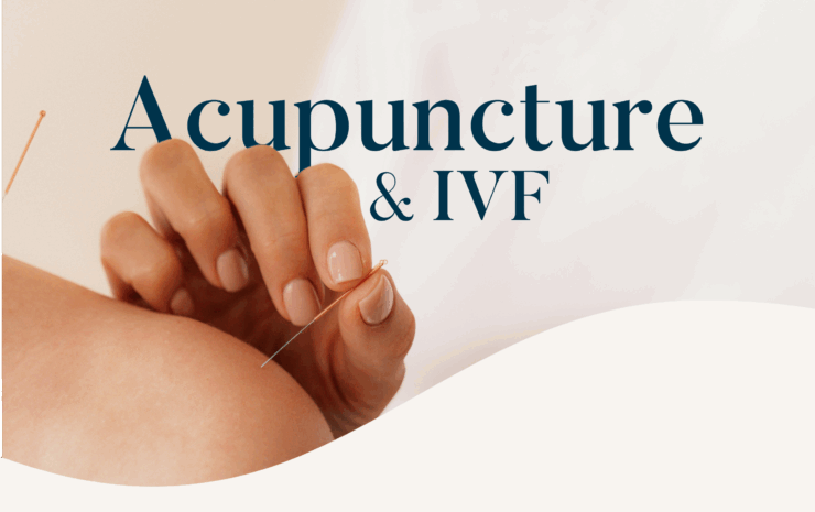 What to Know About Acupuncture & IVF