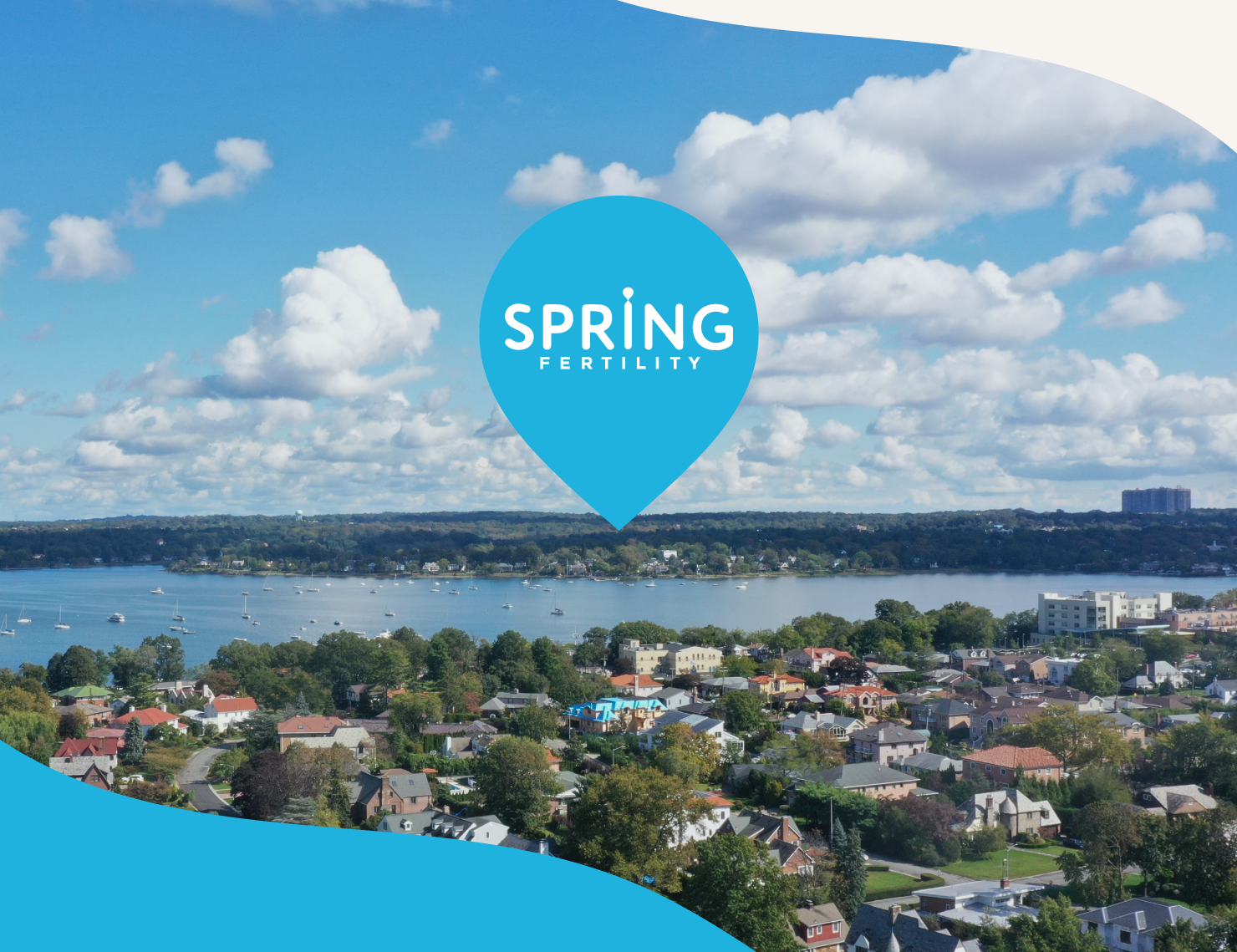 Image - SpringLI.png