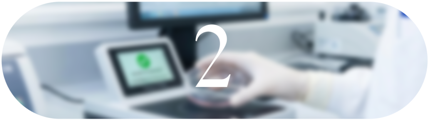 Image - spring-dual-rfid.png