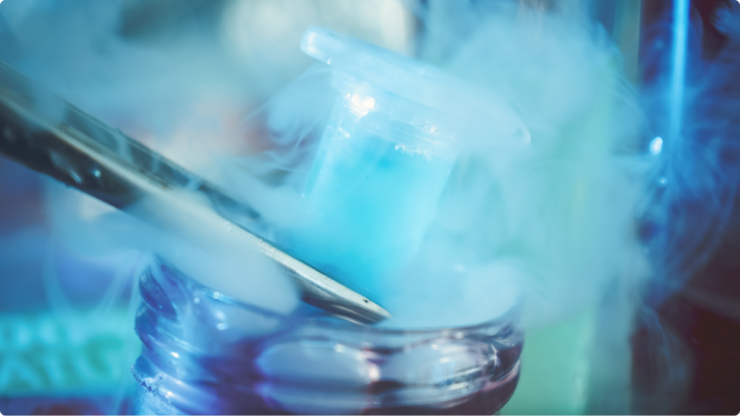 Image - spring-fqpsc-embryology-image-740x416.png