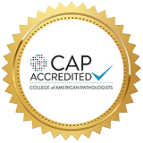 Grid Item Image #19314