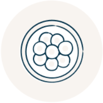 Image - spring-d-i-3.png
