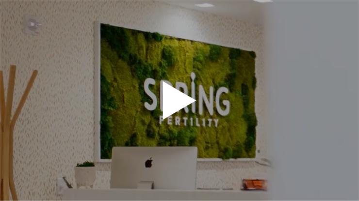 Image - SpringVideoPreview-740x415.png