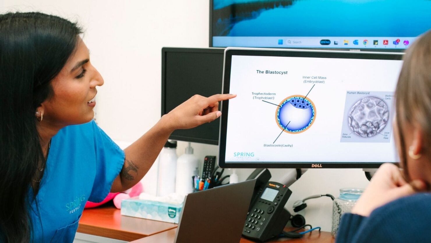 Female Infertility Care at Spring Fertility Bryant Park