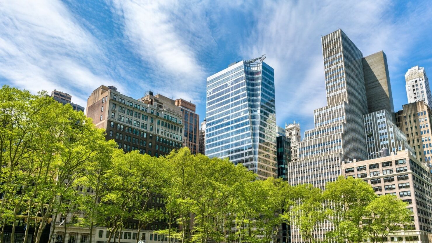 Fertility testing for women under 35 at Spring Fertility New York City near Bryant Park, including AMH, antral follicle count, pelvic ultrasound and individualized fertility evaluation.
