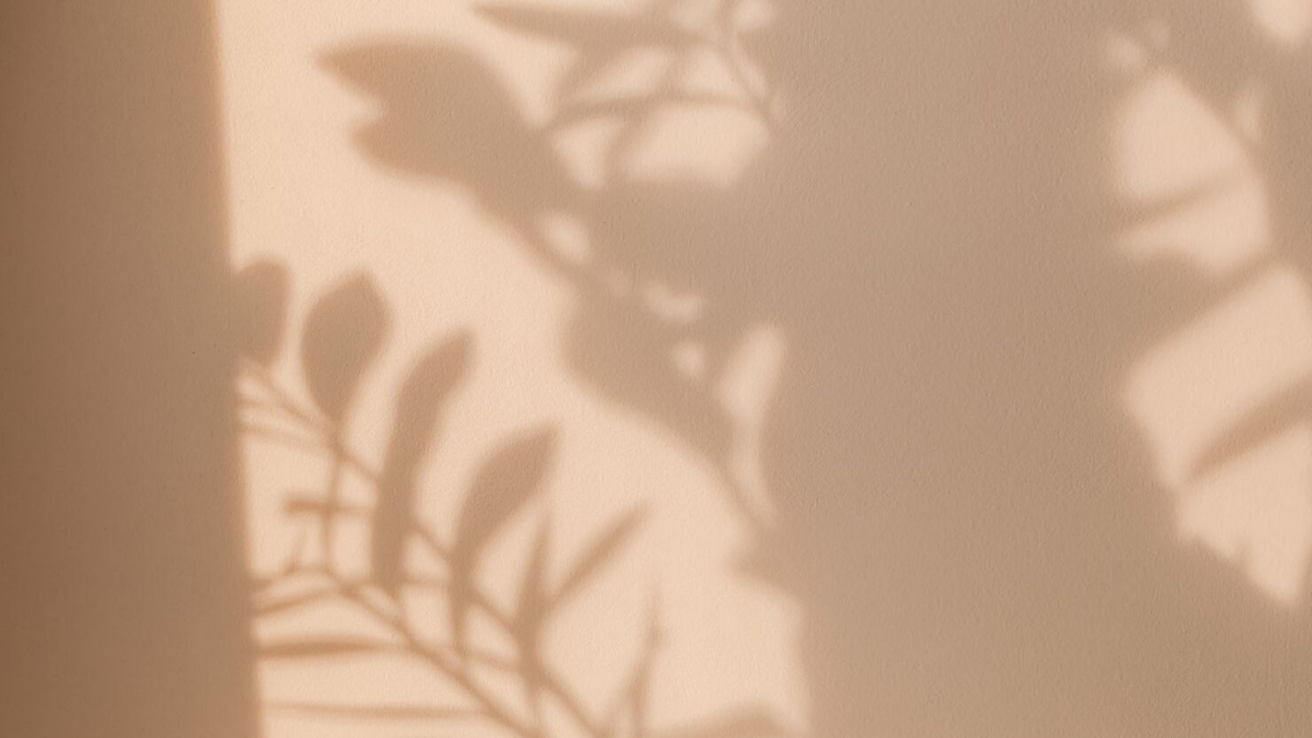 Information about recurrent pregnancy loss, fertility evaluation and individualized reproductive care at Spring Fertility.