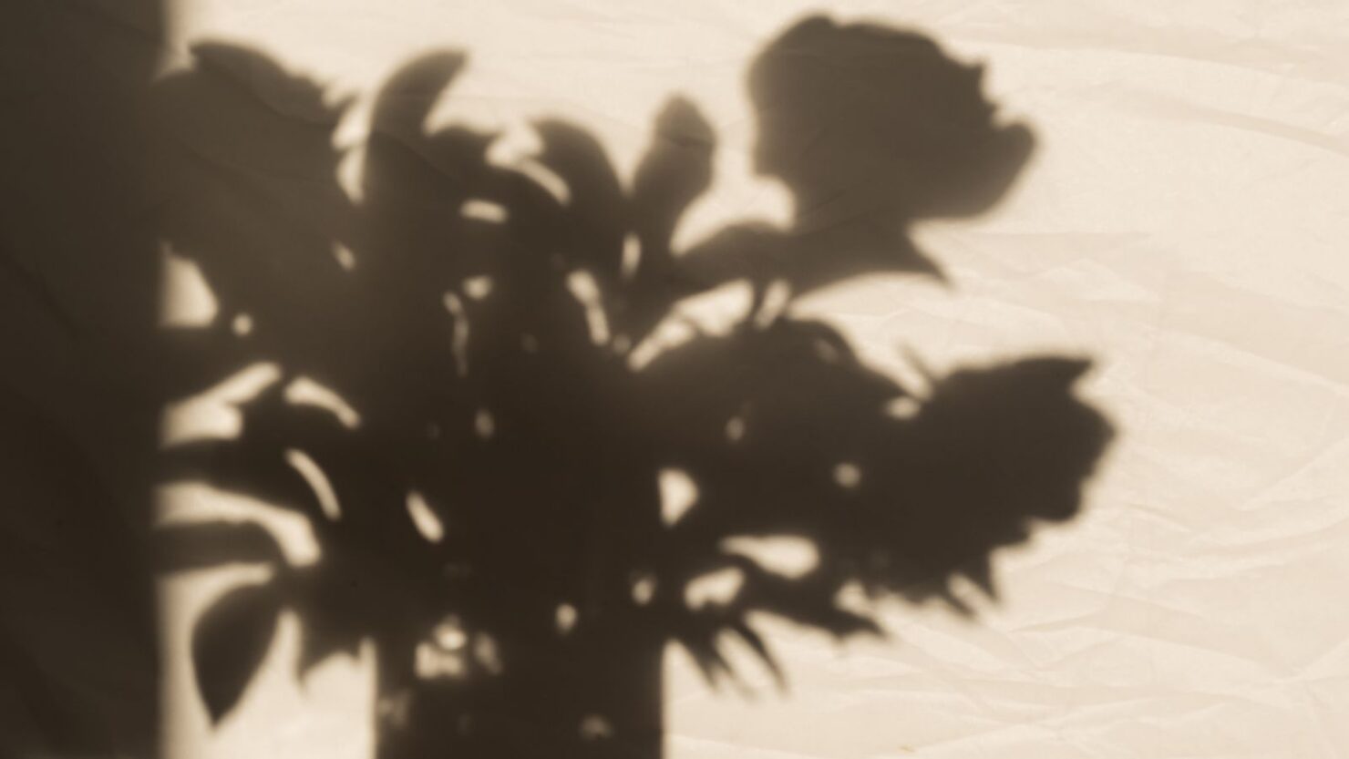 Information about repeated failed IUI cycles, fertility evaluation and potential treatment options at Spring Fertility.