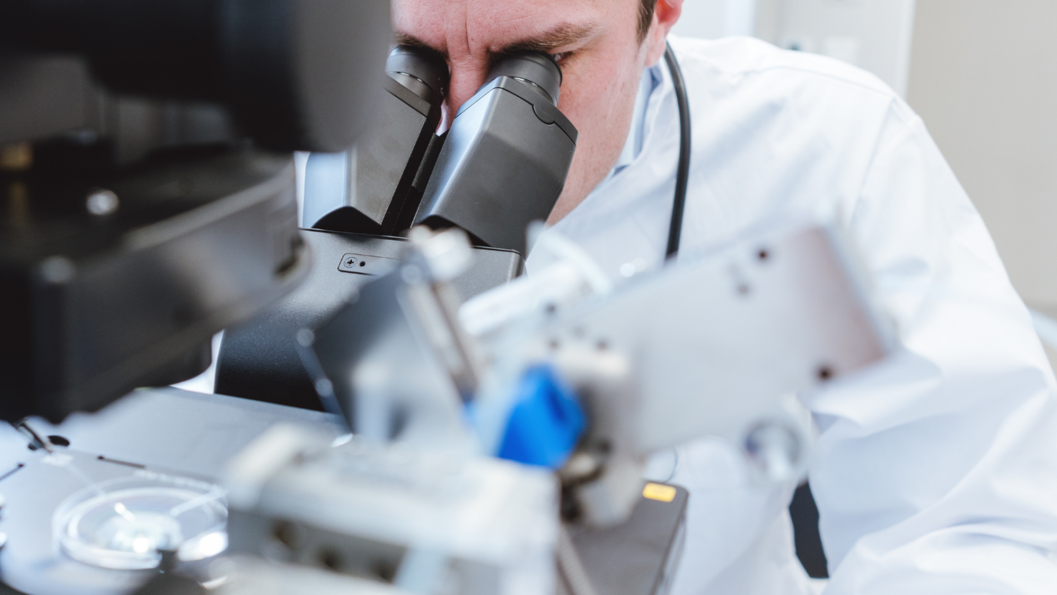 Spring Fertility egg freezing FAQs and fertility preservation guide