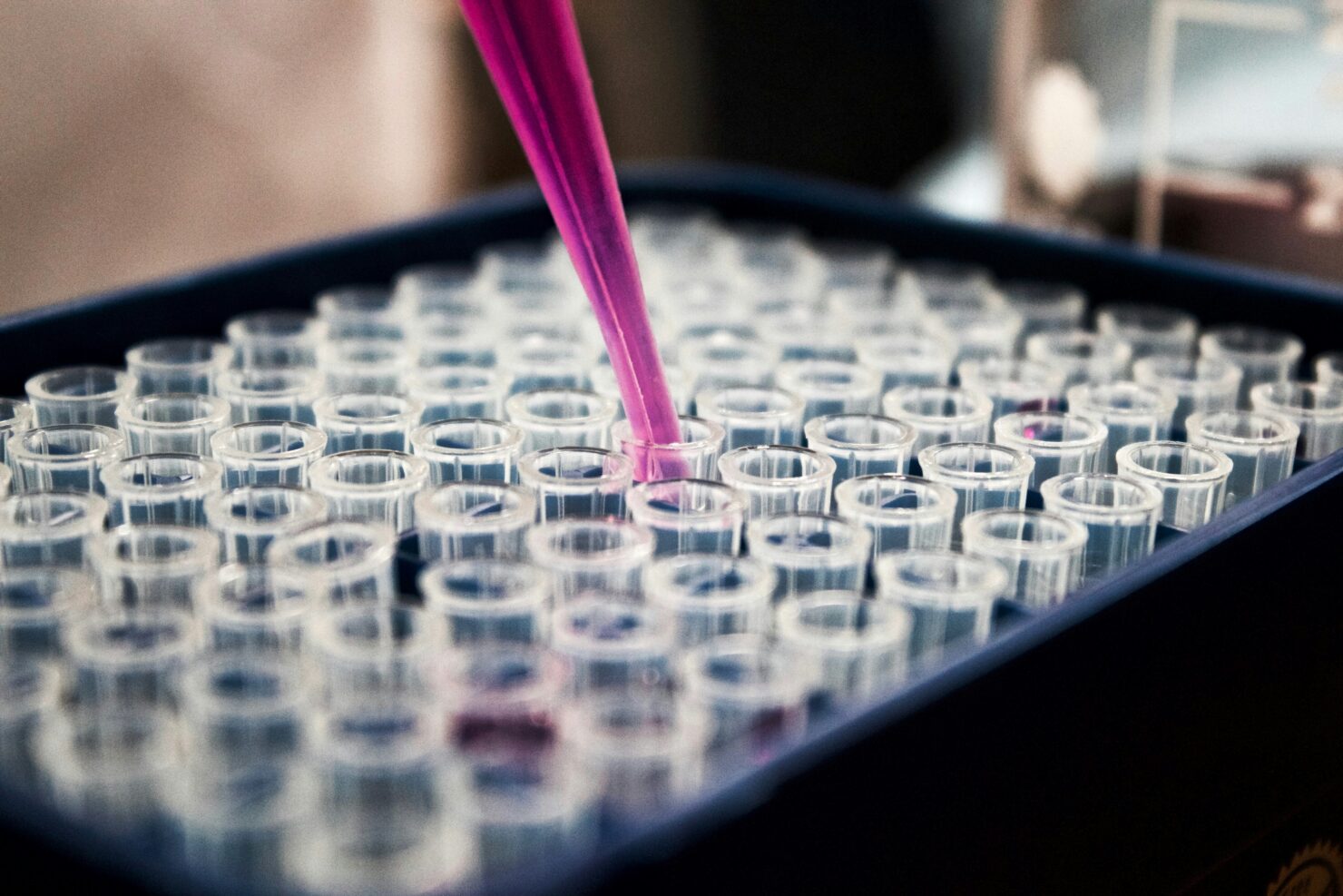 Fertility Testing Serving New York
