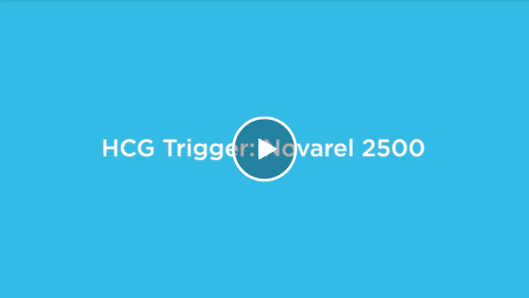 Image - Video-10-740x417.png